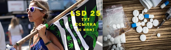 прущие грибы Калининец