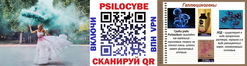 Псилоцибиновые грибы мухоморы купить закладку Сланцы