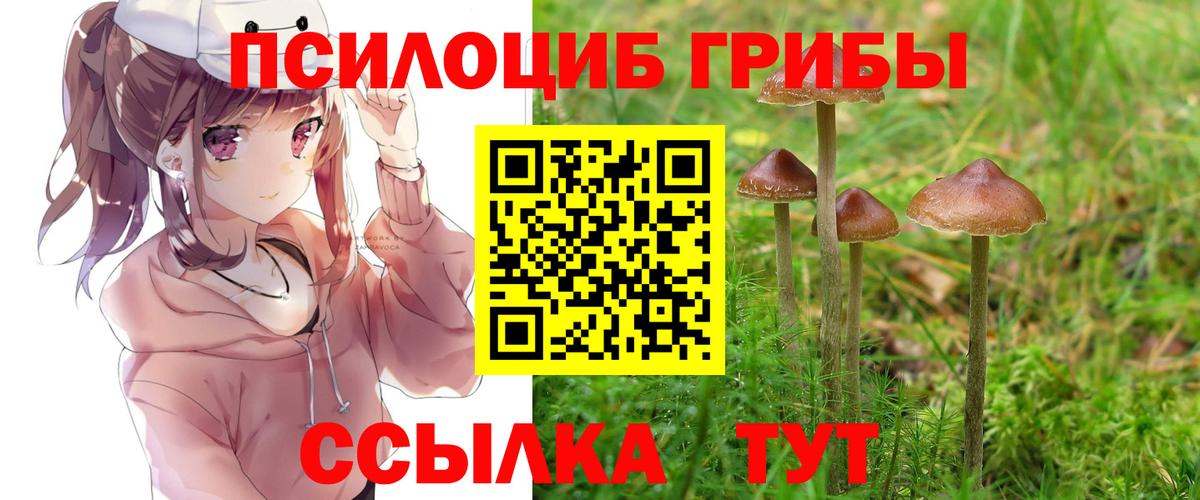 Галлюциногенные грибы Cubensis Сланцы