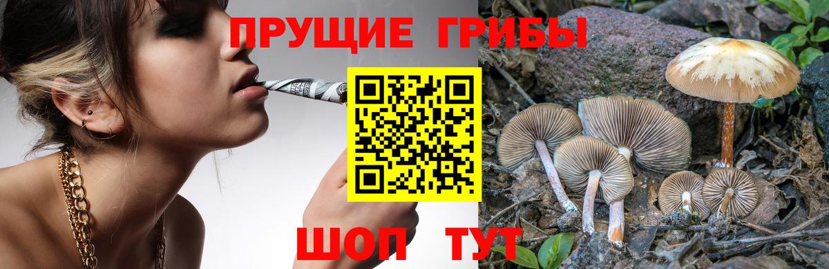 Сланцы  Псилоцибиновые грибы MAGIC MUSHROOMS  Вход с VPN 